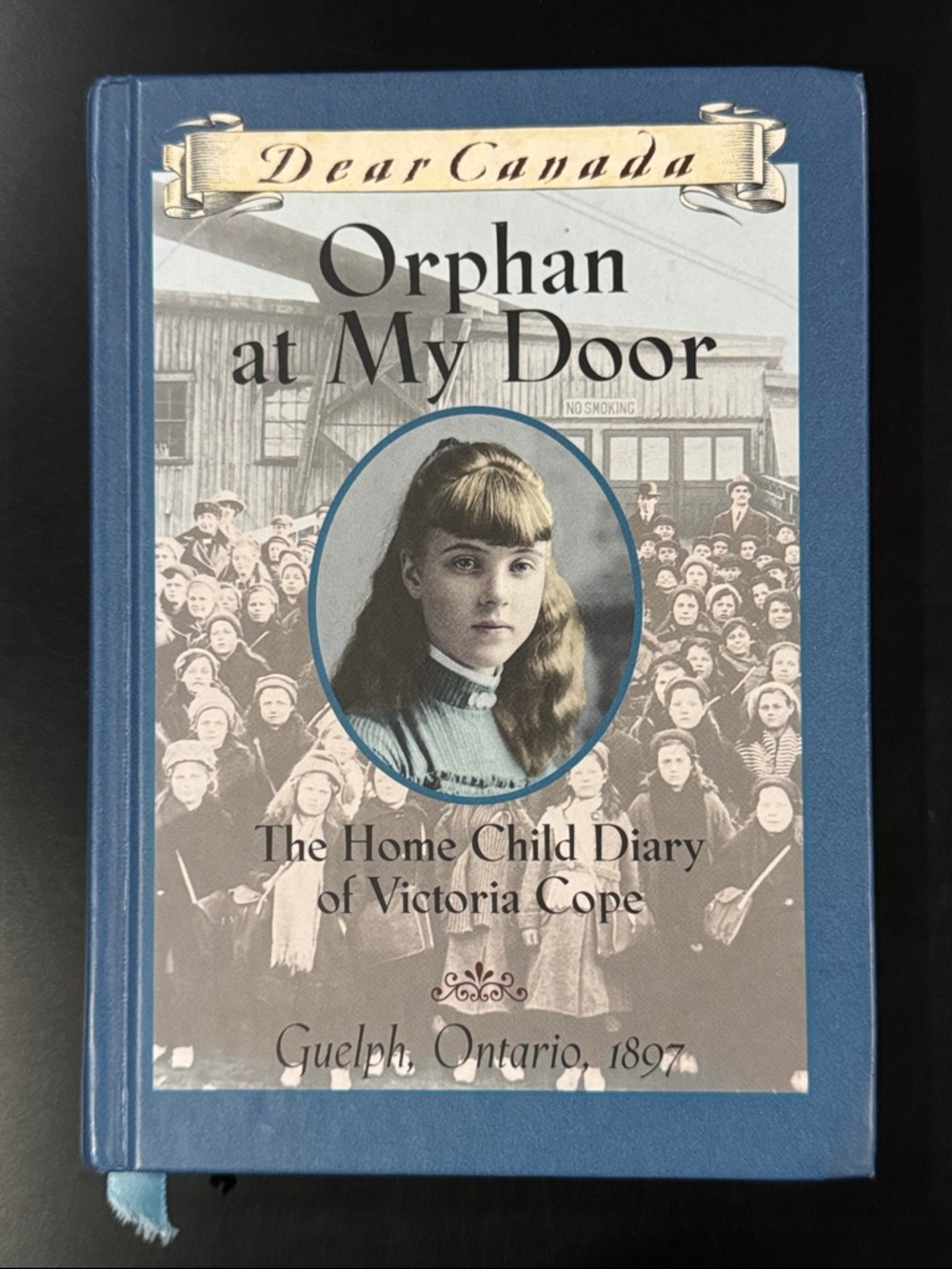Dear Canada: Orphan at My Door - Scholastic Hardcover Novel